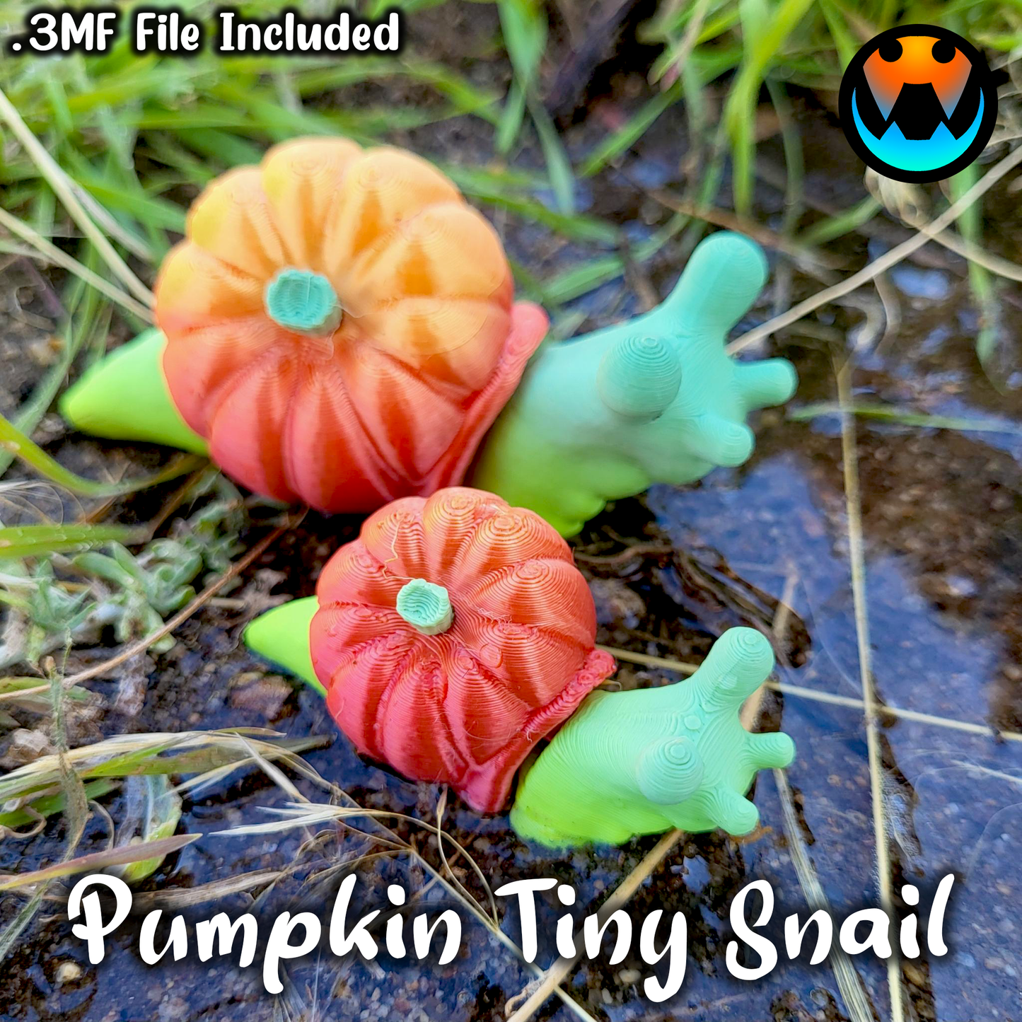 Wiggly Snails - Snail Collection