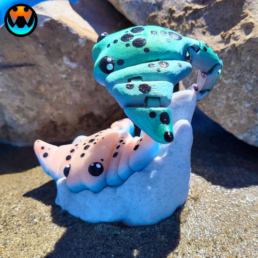 Stingray Buddies