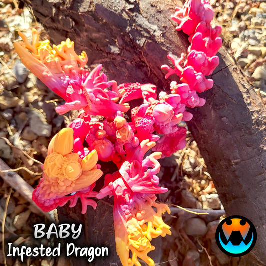 Infested Dragon Tadling