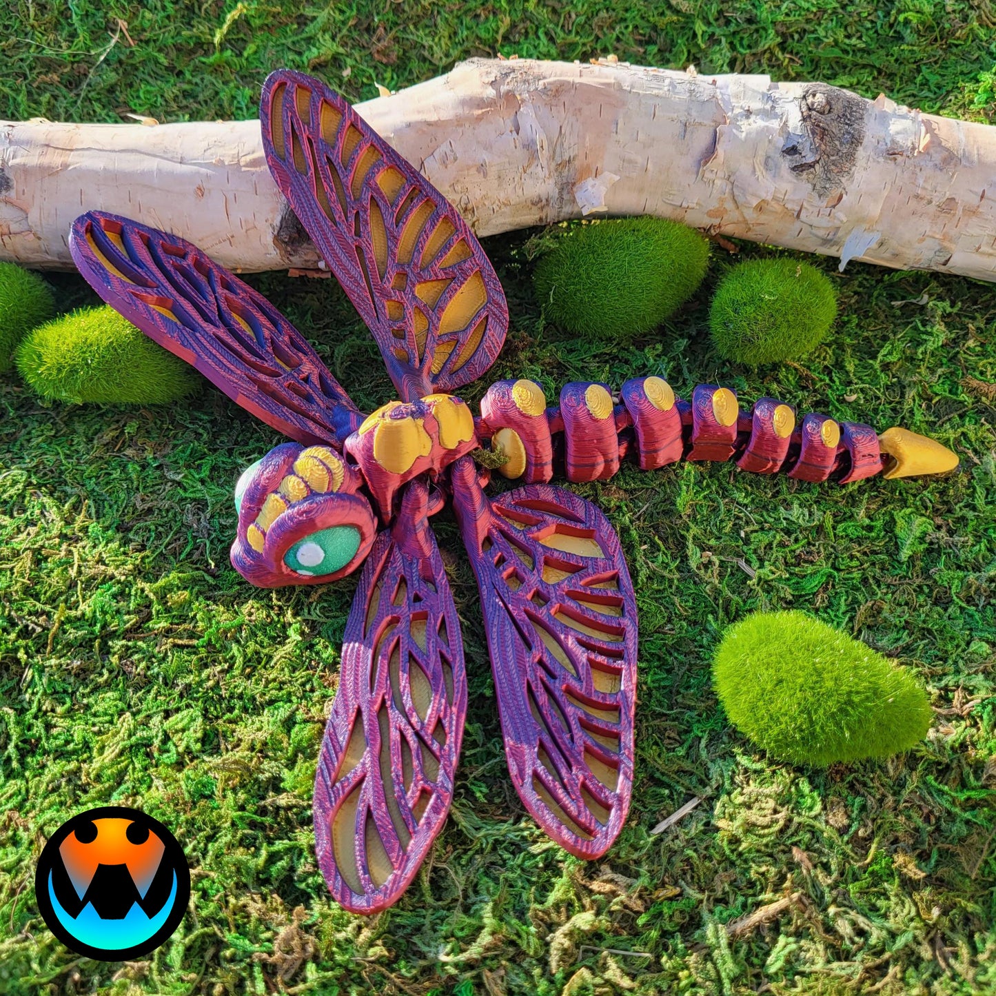 Dragonfly Insect