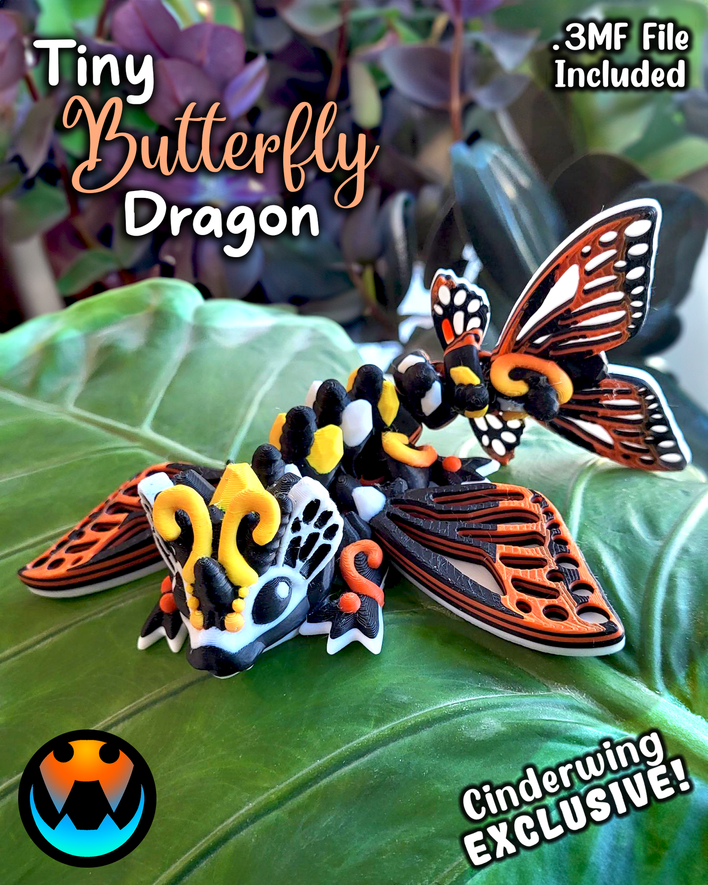 Butterfly Dragon Tadling