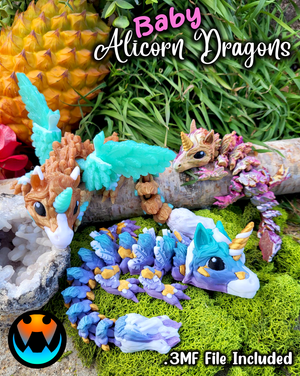 Alicorn Dragon Tadling