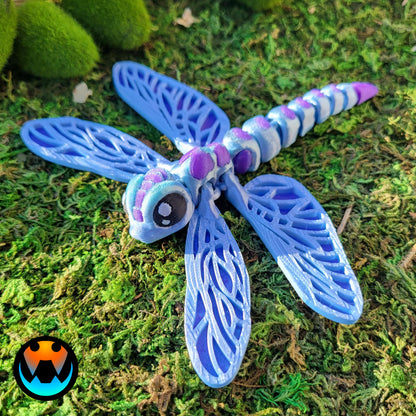 Dragonfly Insect