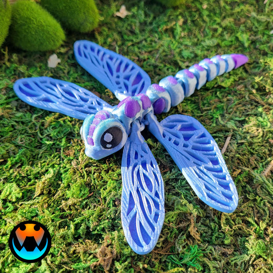 Dragonfly Insect