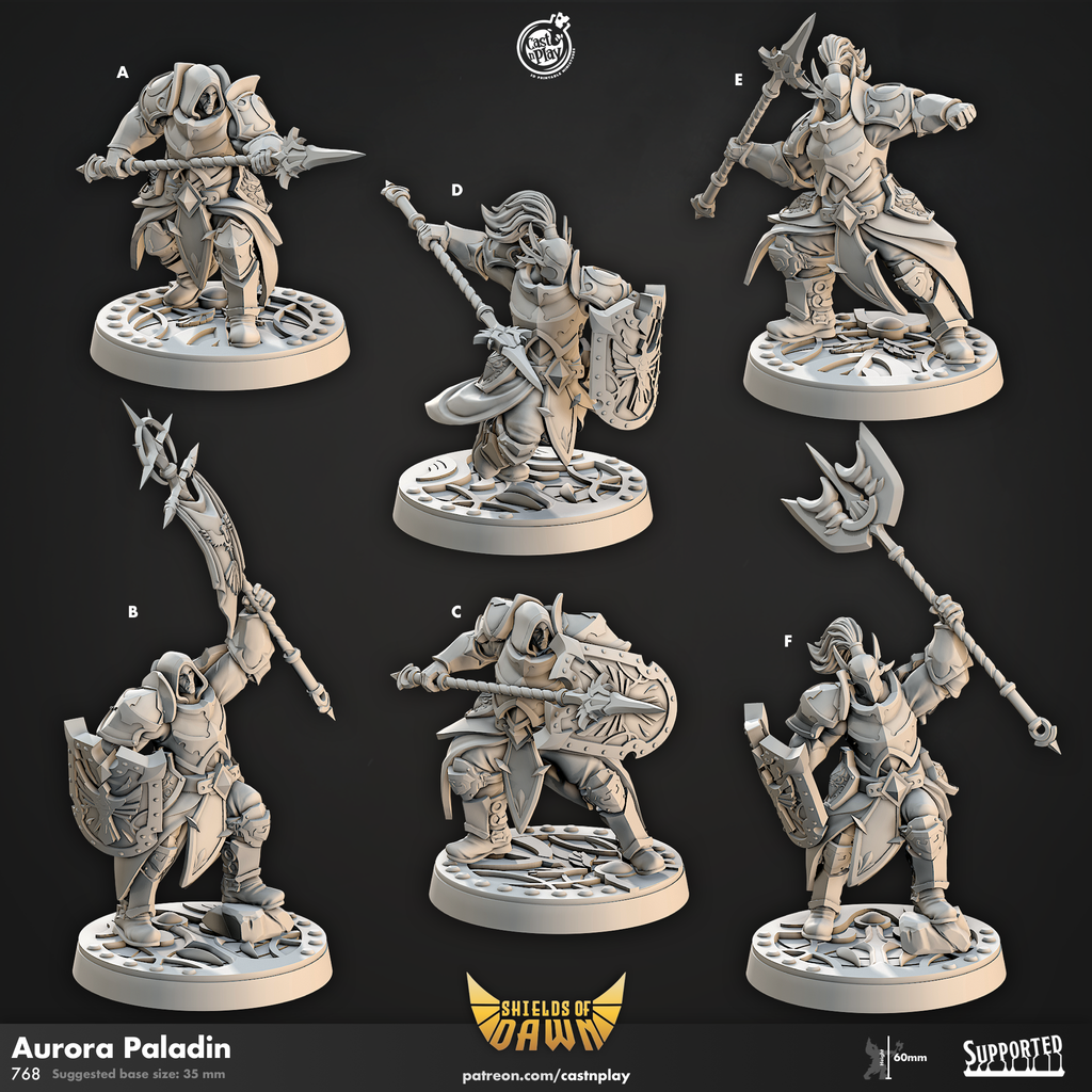 Aurora Paladin - Shields of Dawn Collection - 3D Resin Print - D&D Pathfinder NPC Miniature