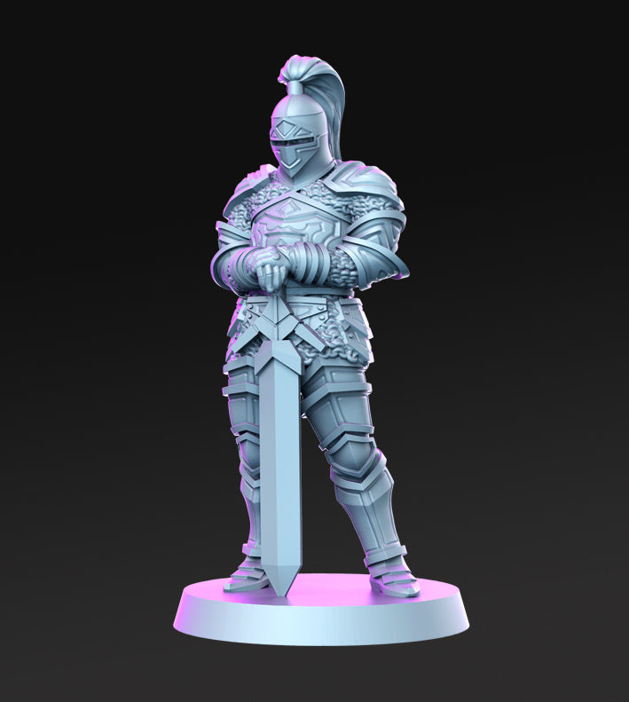 Aaron Aaronk Royal Guard - 3D Resin Print - D&D Pathfinder NPC Miniature