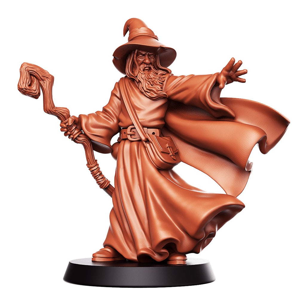 Amlund Maegon Sage - Against The Shadows Collection - 3D Resin Print - D&D Pathfinder NPC Miniature