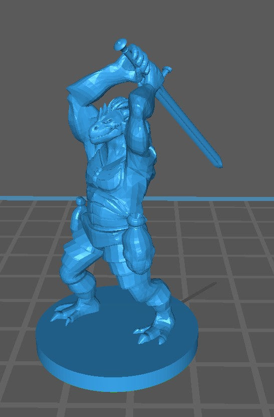 Barbarian Dragonborn with Sword - 3D Resin Print - D&D Pathfinder NPC Miniature