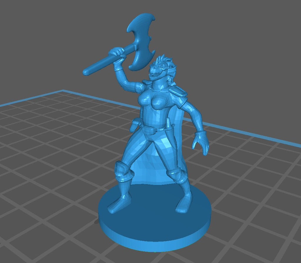 Barbarian Dragonborn Female  - 3D Resin Print - D&D Pathfinder NPC Miniature