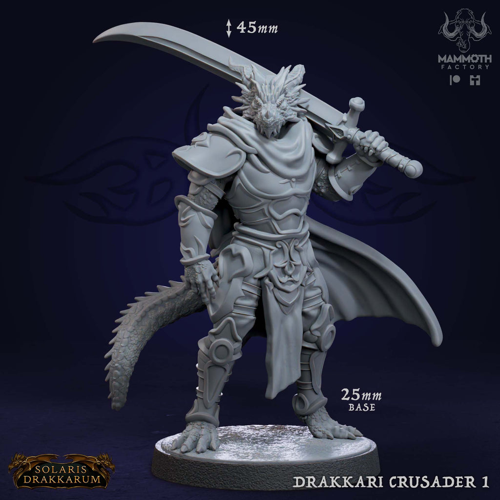 Drakkai Crusader Dragon 1-8 - Solaris Drakklings Collection - 3D Resin Print - D&D Pathfinder NPC Miniature