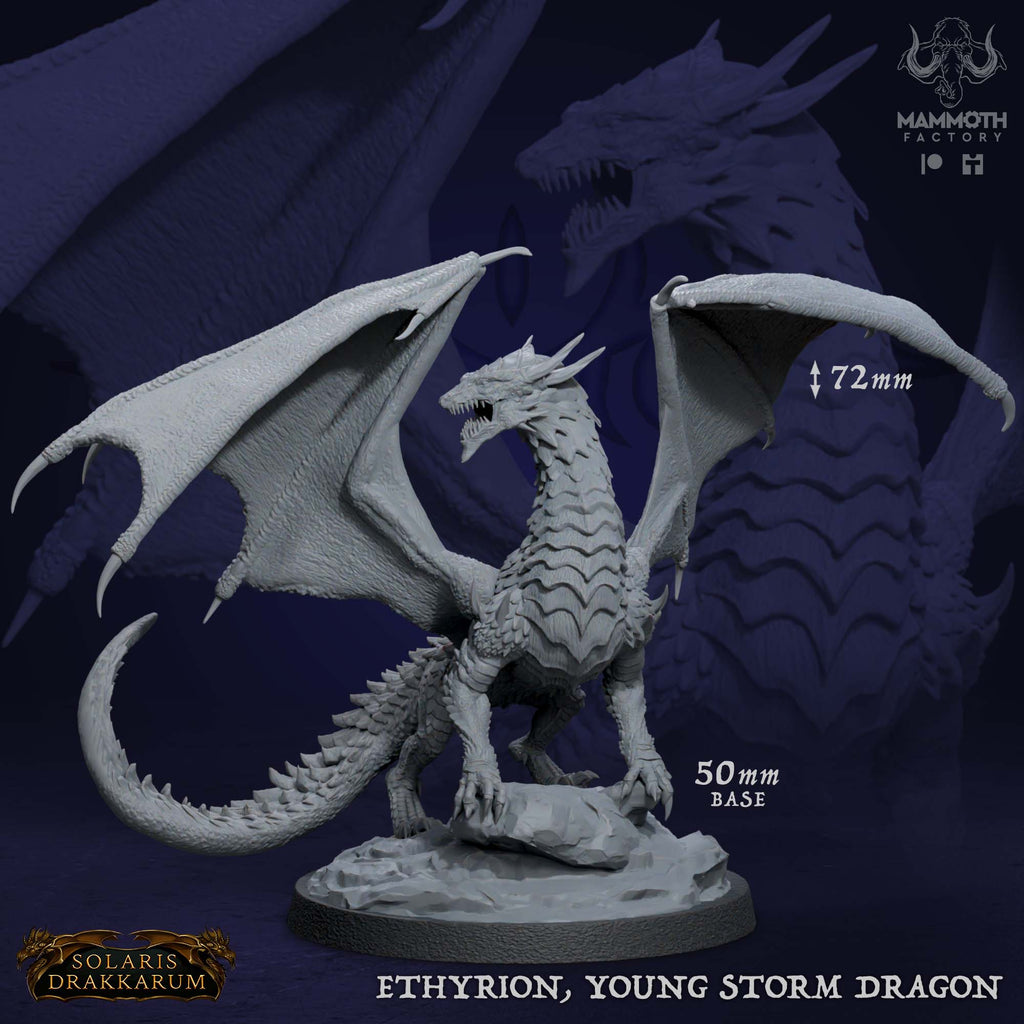 Ethyrion Young Storm Dragon - Solaris Drakklings Collection - 3D Resin Print - D&D Pathfinder NPC Miniature