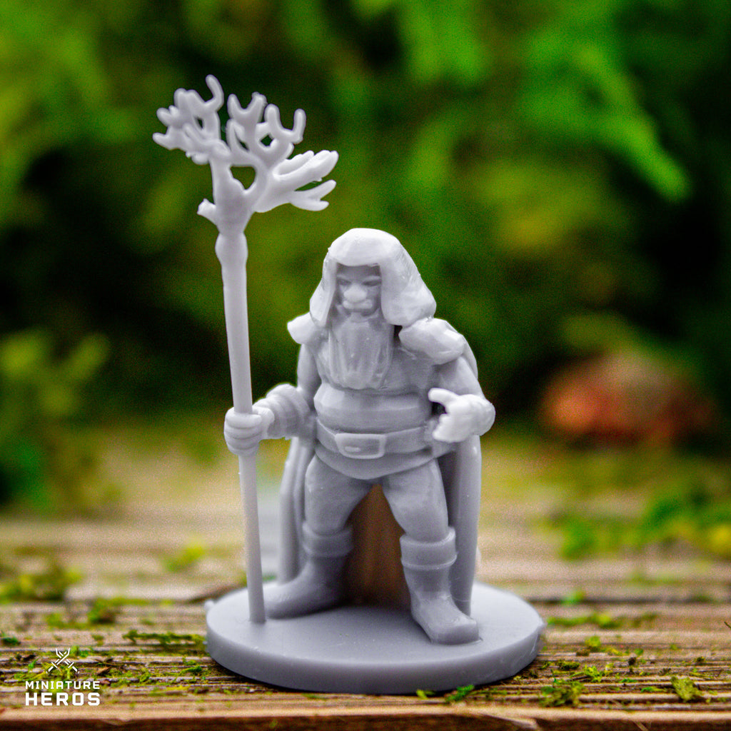 Druid Dwarf Male