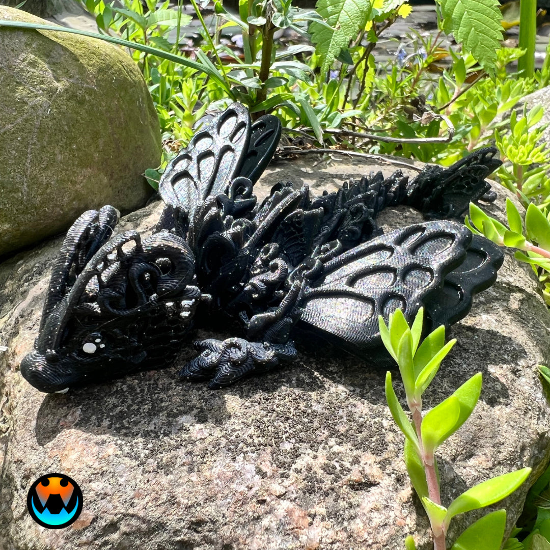 Butterfly Dragon Tadling