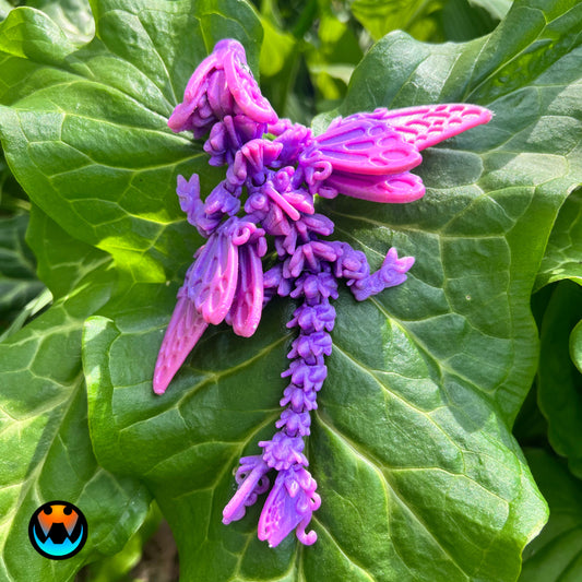 Butterfly Dragon Tadling