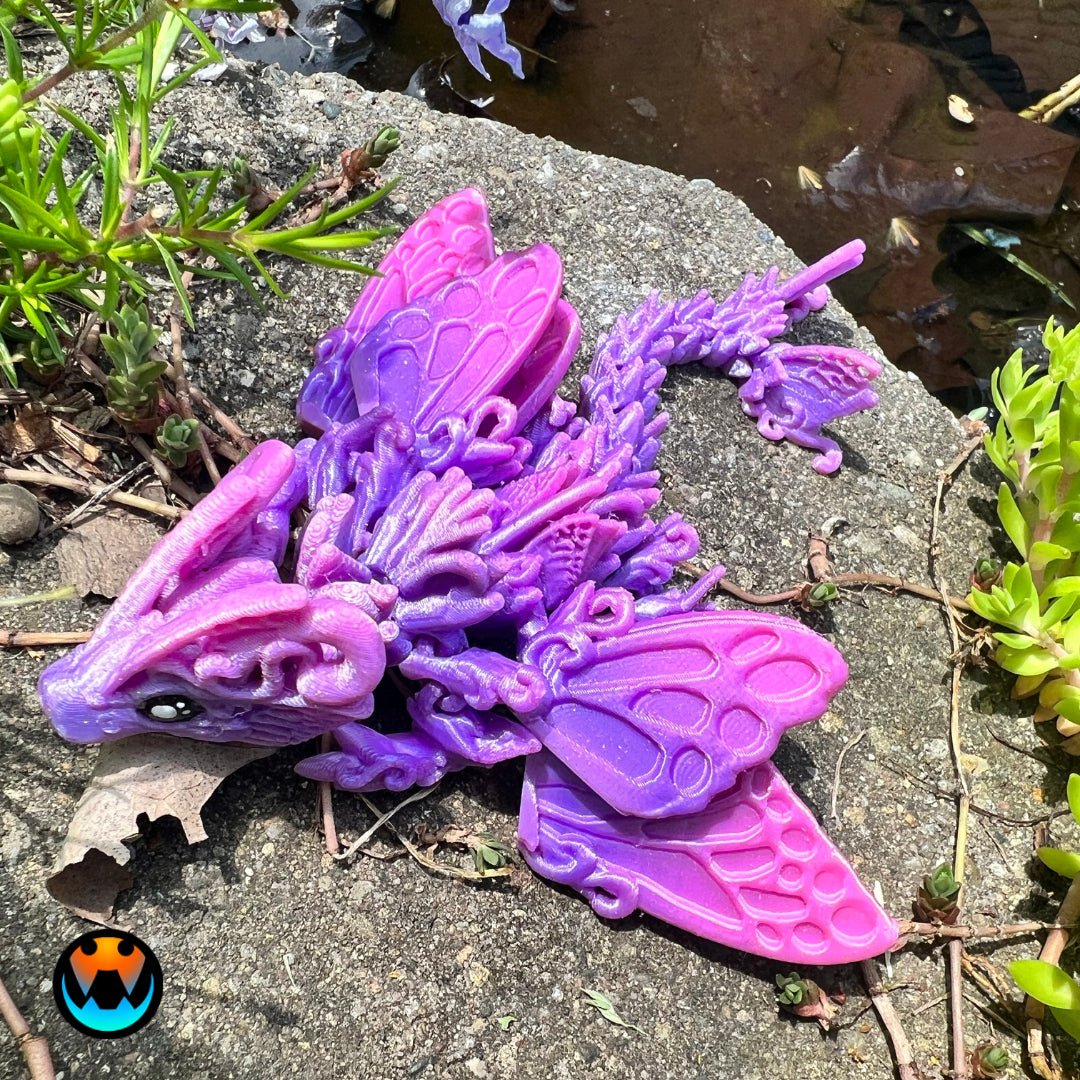 Butterfly Dragon Tadling