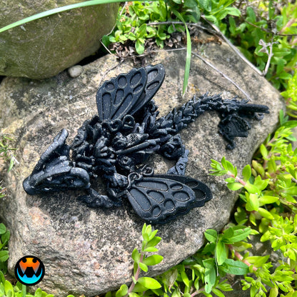 Butterfly Dragon Tadling