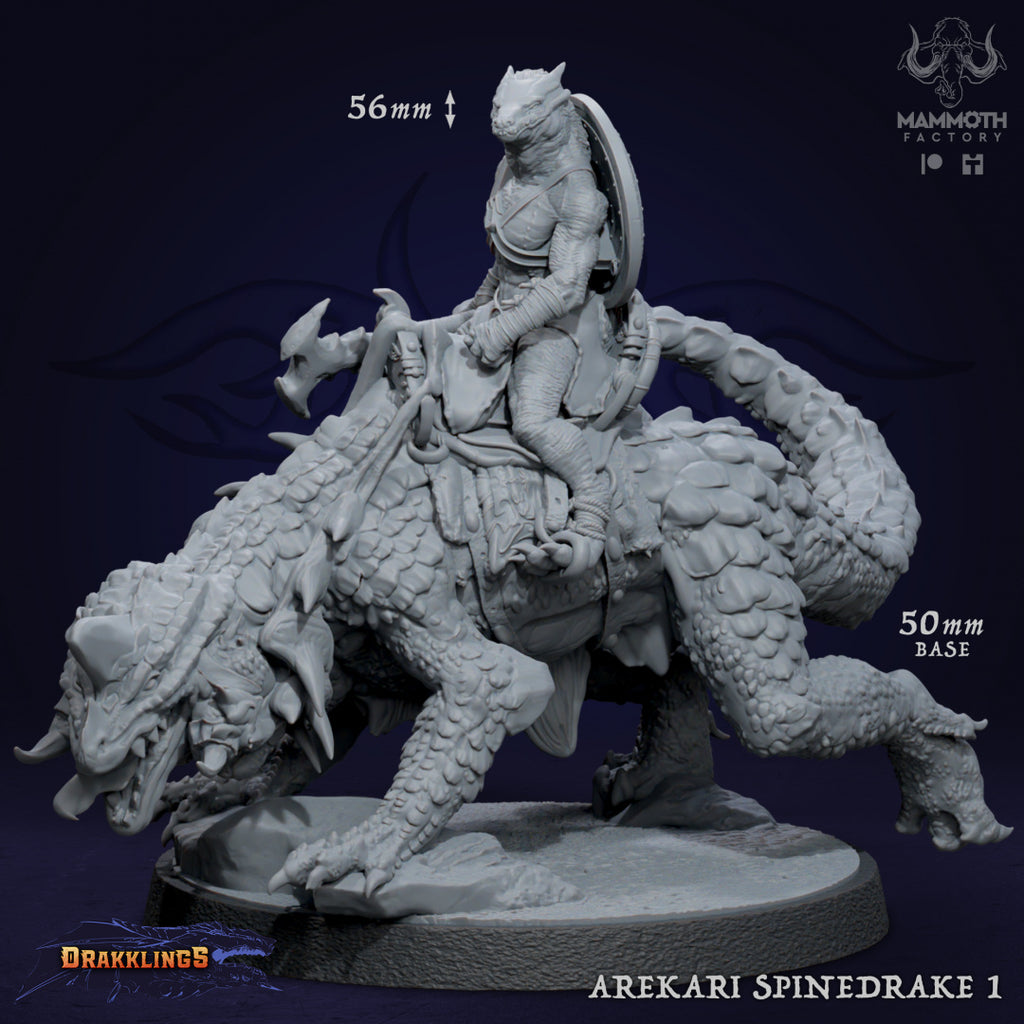 Arekari Spinedrake - Drakklings Collection - 3D Resin Print - D&D Pathfinder NPC Miniature