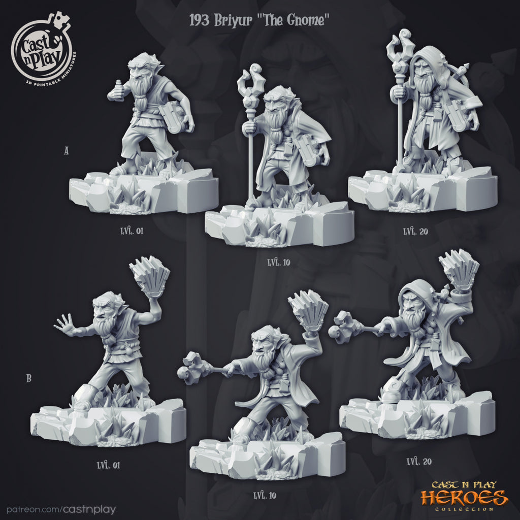 Briyur The Gnome Wizard - Heros Collection -3D Resin Print - D&D Pathfinder NPC Miniature